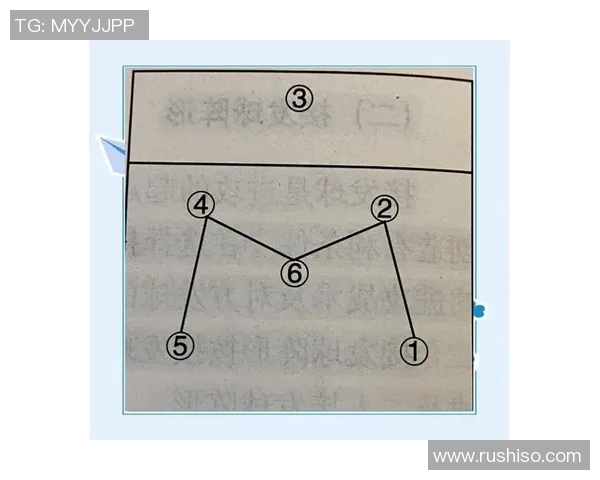 上海排球队的战术分析与运营体系探讨：提升竞技水平的关键因素